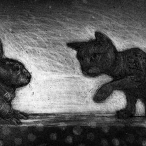 Cat and Rabbit - Chris Salmon