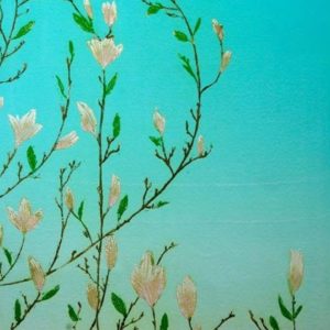 Magnolia - Peter Wareham