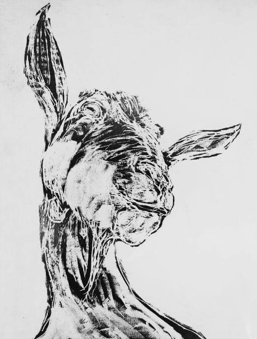 Goat's Head - Chris Salmon