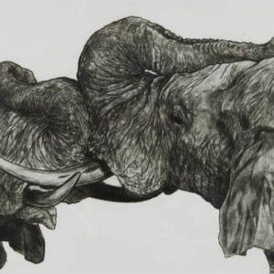 Elephants II - Jonathan Comerford