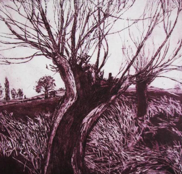The Hollow Tree - Mary Cossey