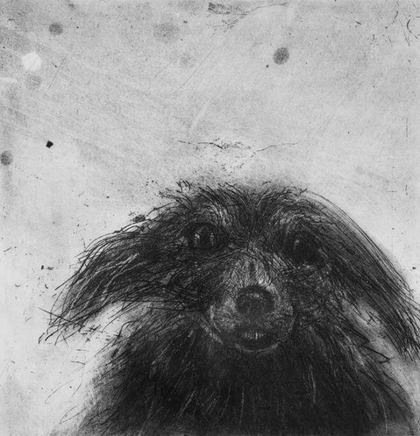 Scruffy Dog's Head - Chris Salmon