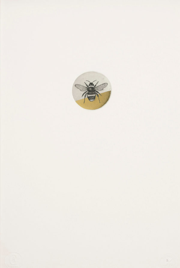Bumblebee - Guy Allen