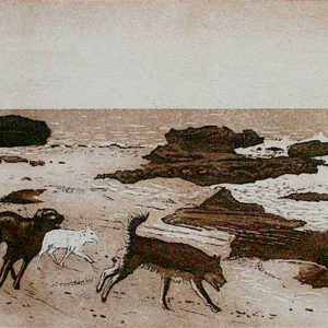 Dogs on a Beach - Tim Southall