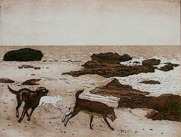 Dogs on a Beach - Tim Southall