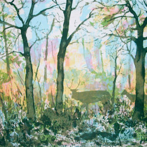 Woodland Scene - Tim Southall