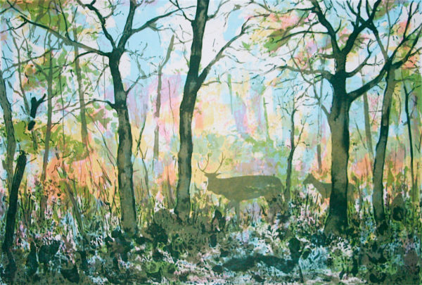 Woodland Scene - Tim Southall