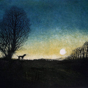 A Bark in the Night - Tim Southall