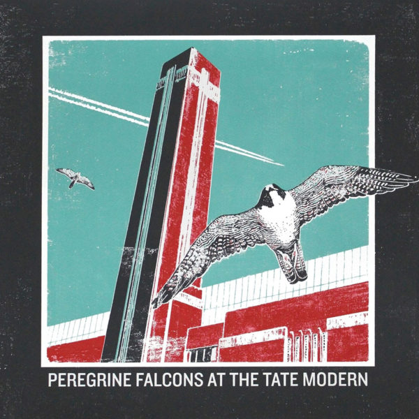Peregrine Falcons At The Tate Modern - Emma Reynolds