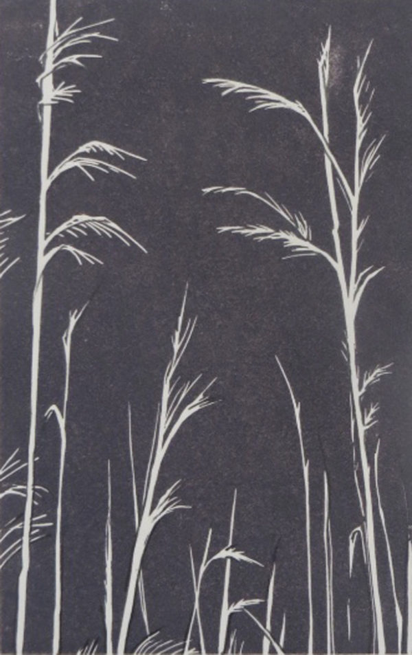 Suffolk Grasses in Slate - Sarah Knight