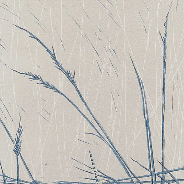 Suffolk Reeds in Old White & Stone Blue - Sarah Knight