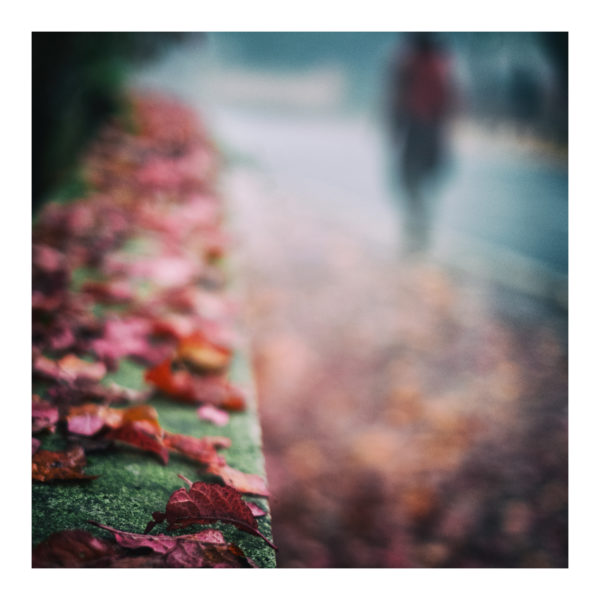 Autumn Walk - Alex Arnaoudov