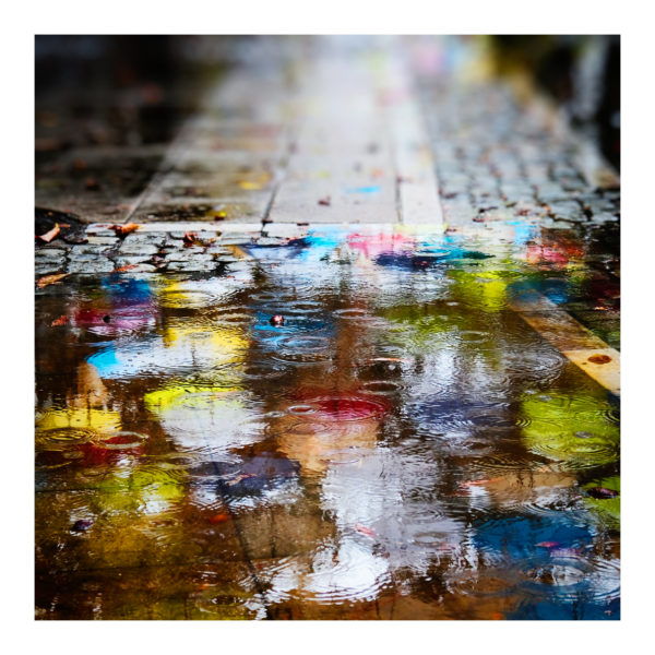 The Colour of Rain - Alex Arnaoudov