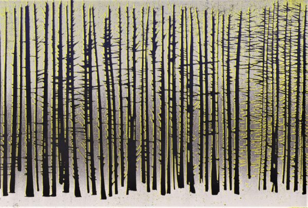 Clattering Pines - For Arts Sake